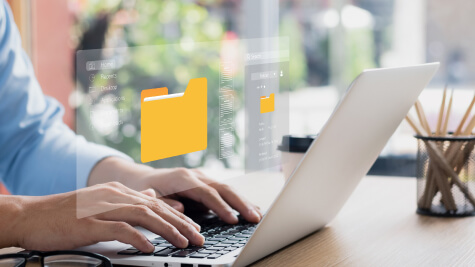 Intranet Development Service