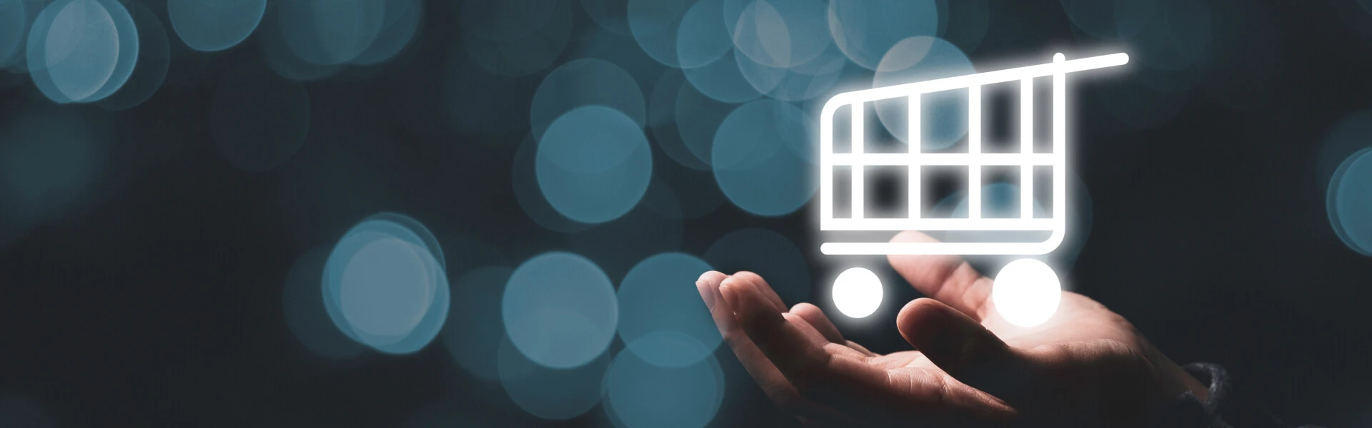 Perché scegliere un e-commerce custom?