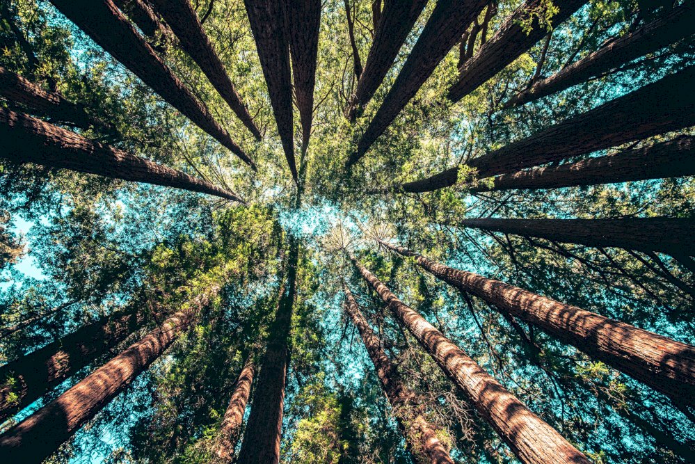 Technology and climate change