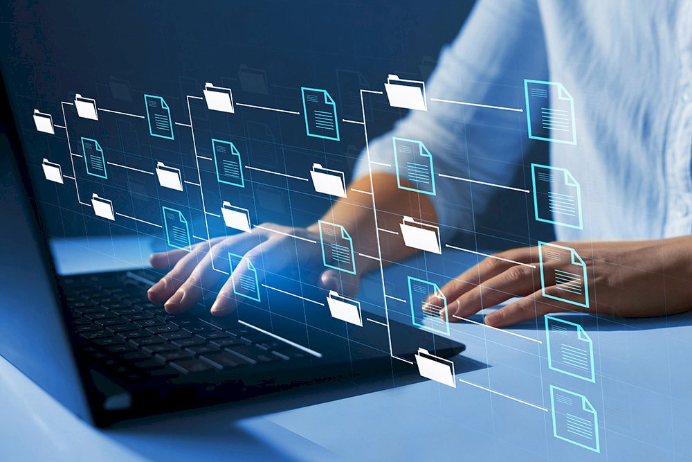 The Strategic Importance of Web Programs for Business Success